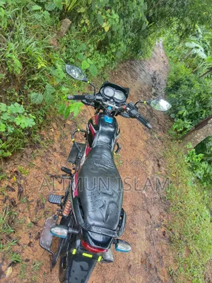 Bajaj Platina 110 ES 2022 Orange