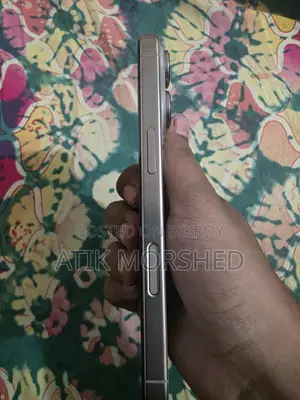 Apple iPhone 16 Pro 256 GB Silver