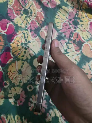 Apple iPhone 16 Pro 256 GB Silver