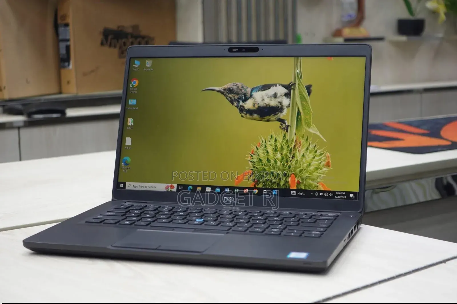 Laptop Dell Latitude 5400 8GB Intel Core i5 SSD 256GB