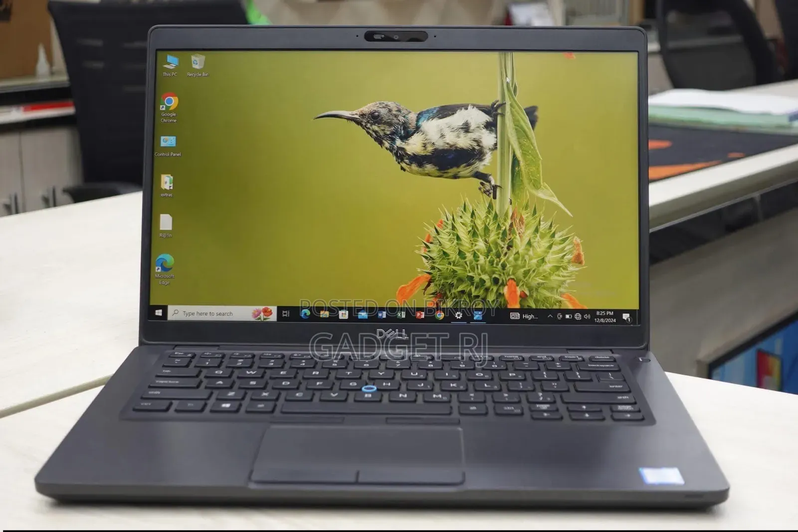 Laptop Dell Latitude 5400 8GB Intel Core i5 SSD 256GB