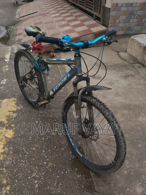 ফিনিক্স সাইকেল