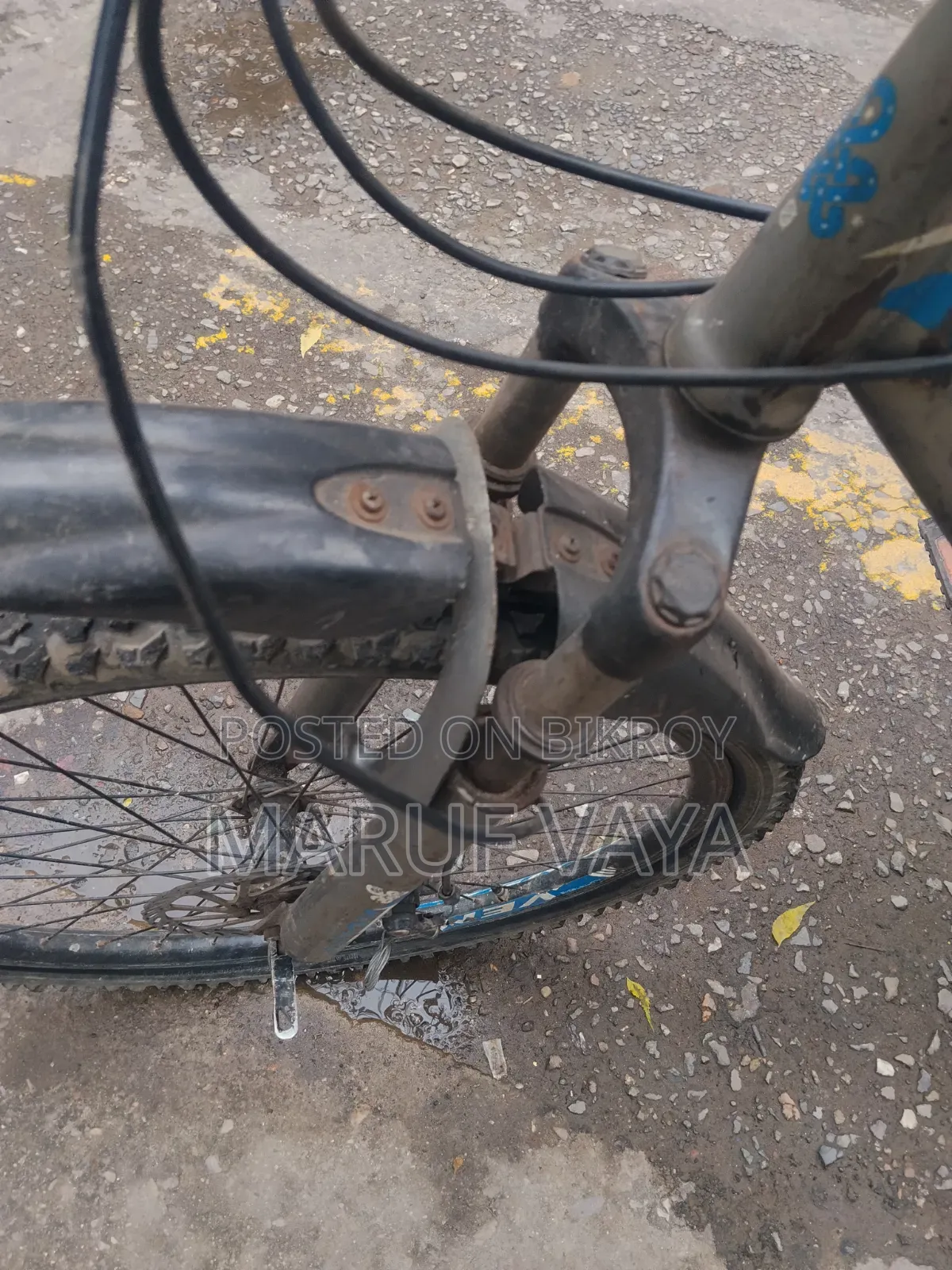 ফিনিক্স সাইকেল