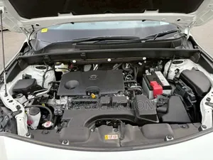 টয়োটা হ্যারিয়ার ২০২১ পার্ল