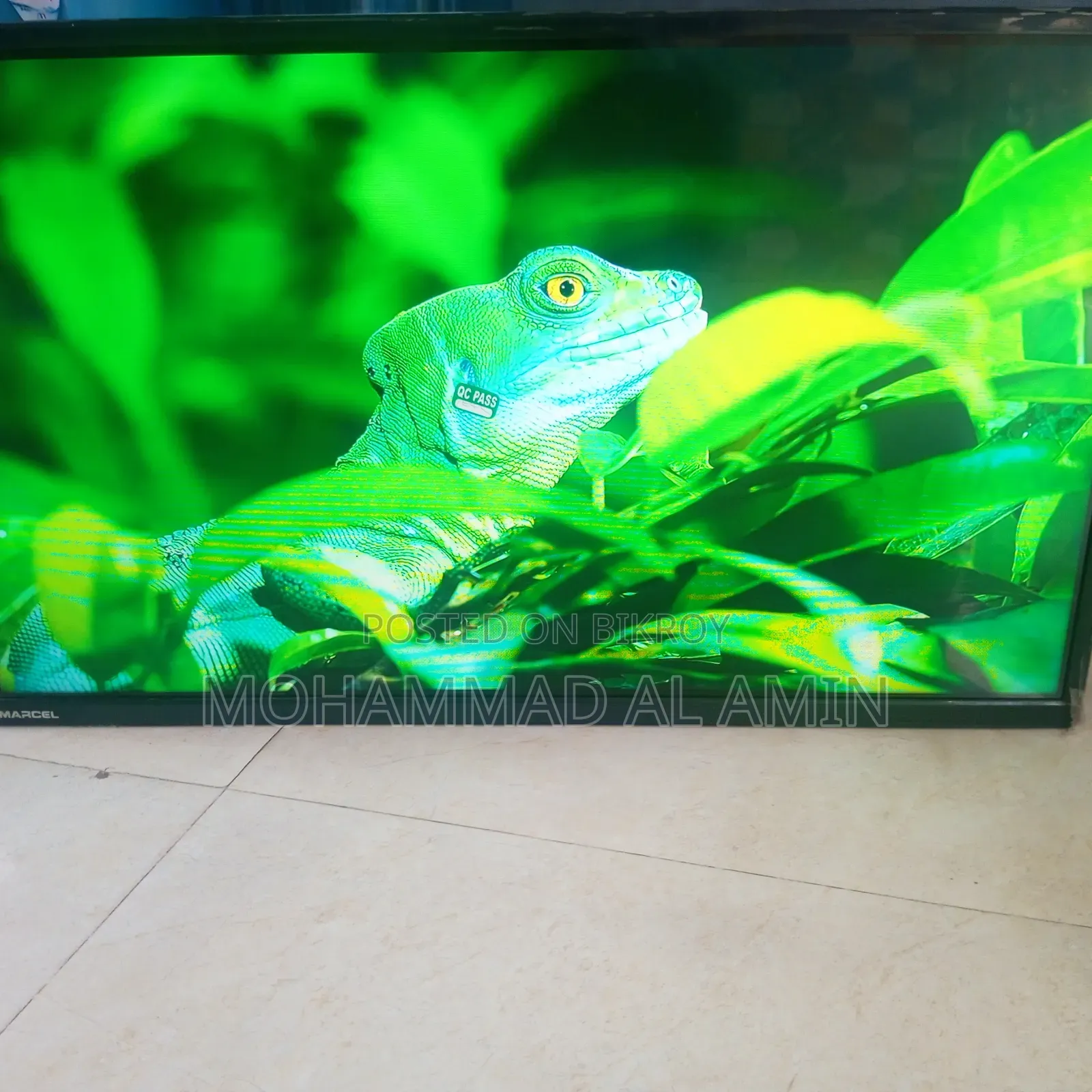Marcel Company TV to be Sold
