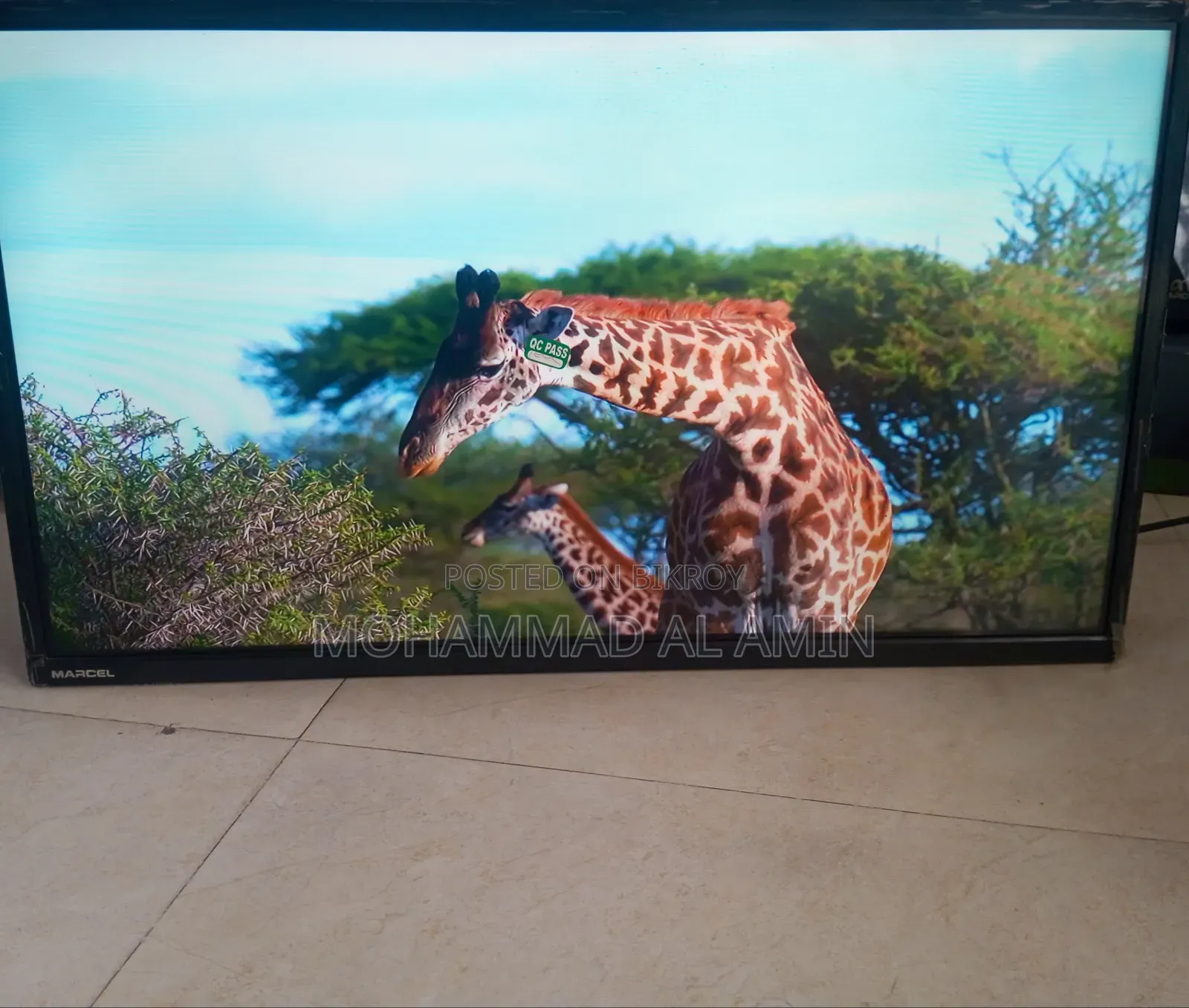 Marcel Company TV to be Sold