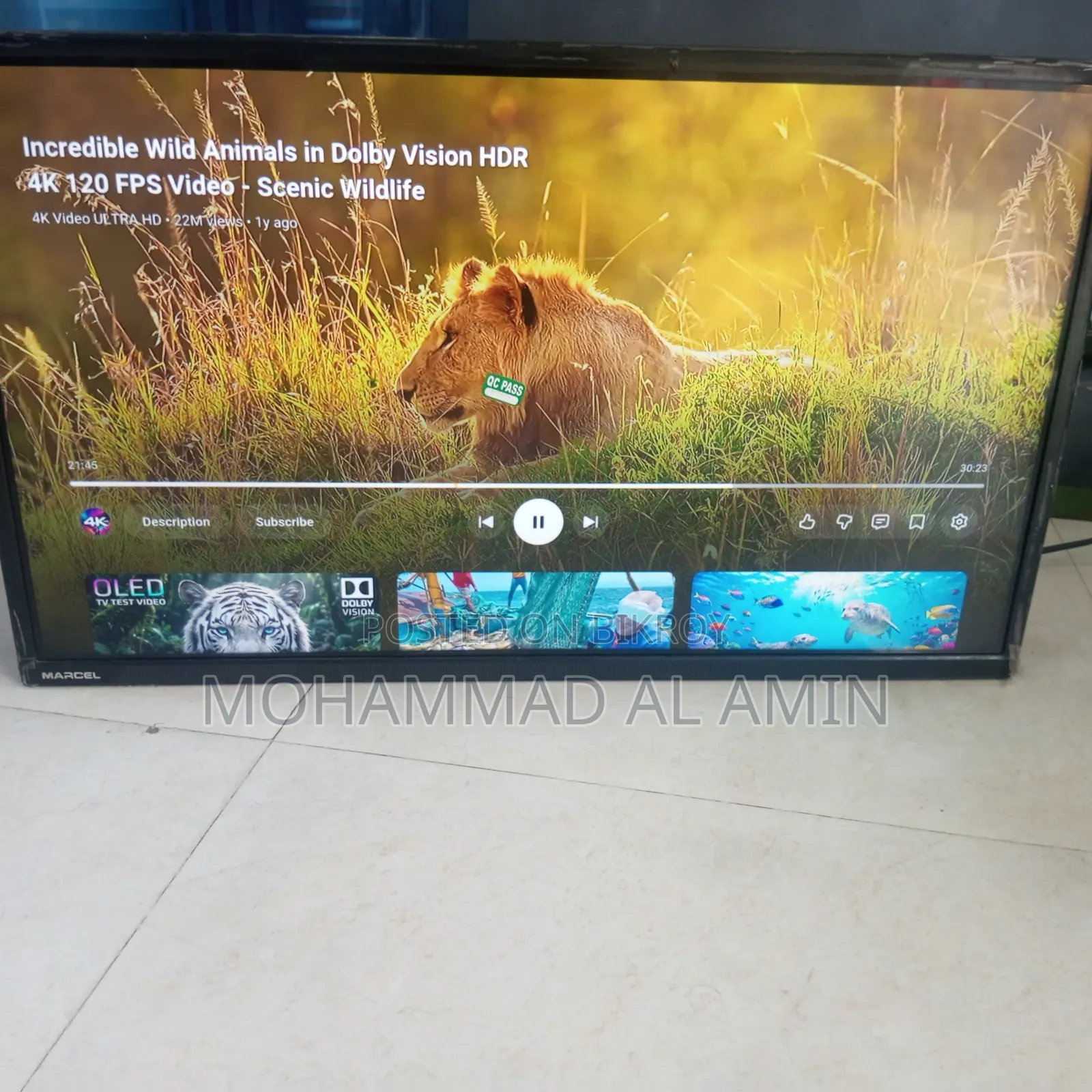 Marcel Company TV to be Sold