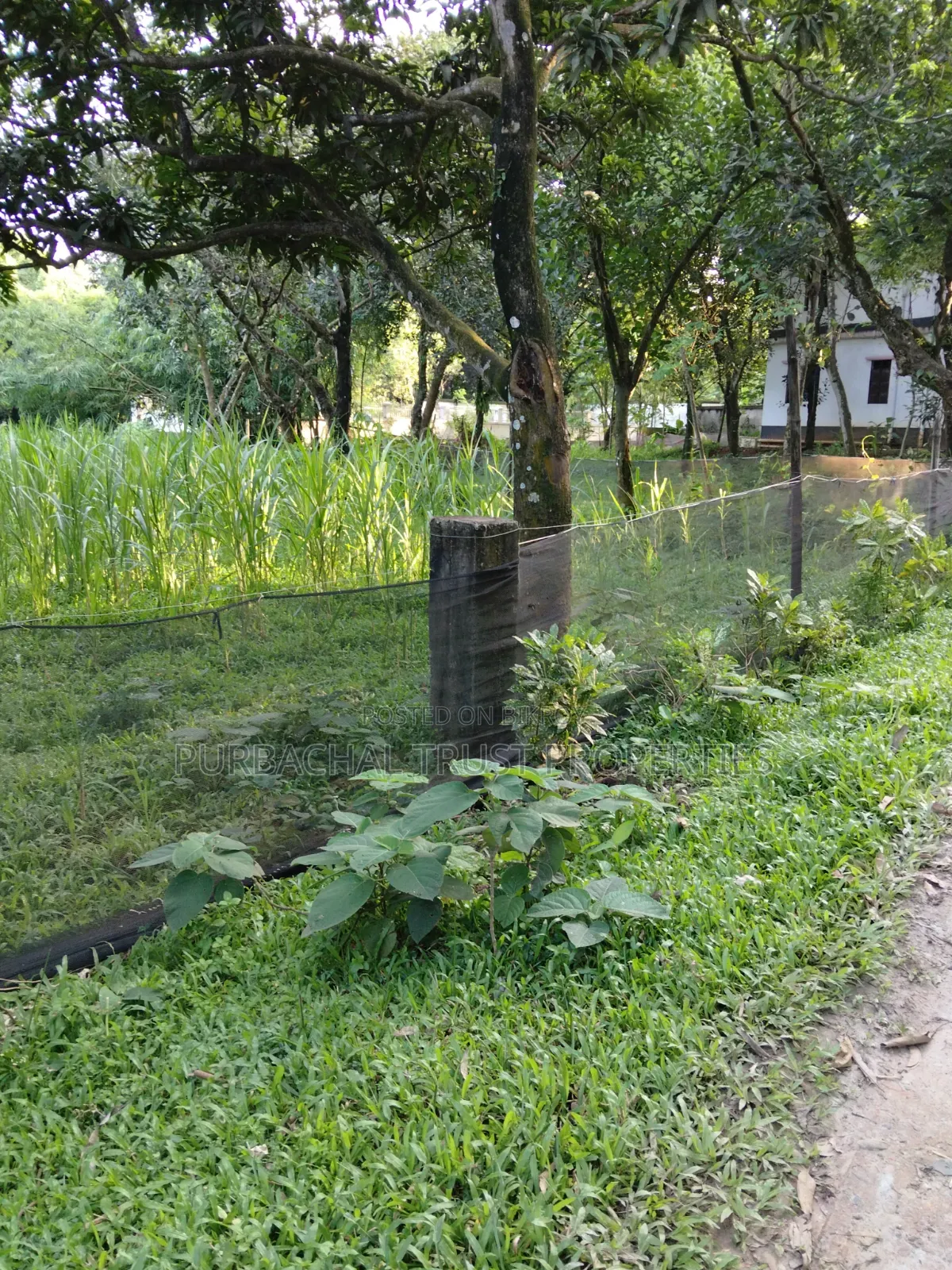 6 Katha Land for Sale Beside Purbachal