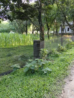 6 Katha Land for Sale Beside Purbachal