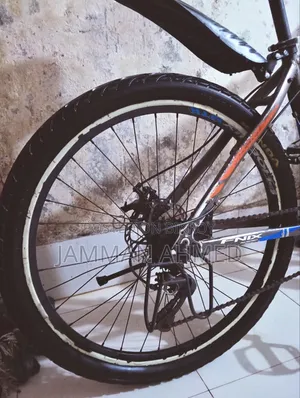 ফিনিক্স সাইকেল