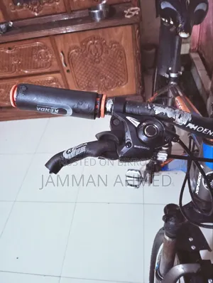 ফিনিক্স সাইকেল