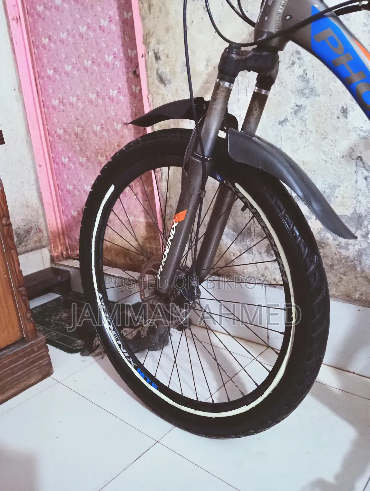ফিনিক্স সাইকেল