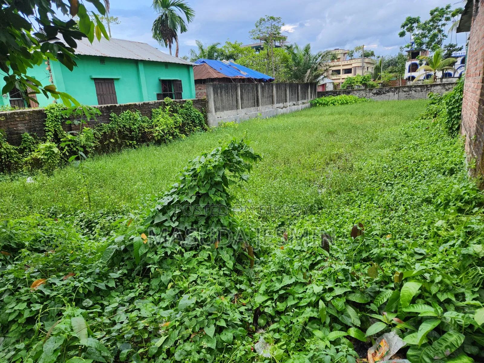 ৫ শতক জমি জরুরি ভিত্তিতে বিক্রয় করা হবে