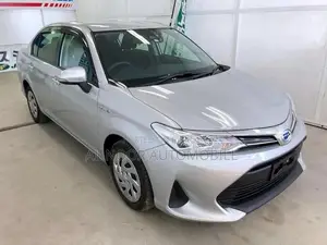 Toyota Axio 2021 Silver