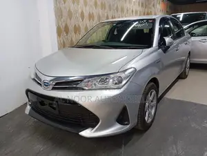 Toyota Axio 2021 Silver