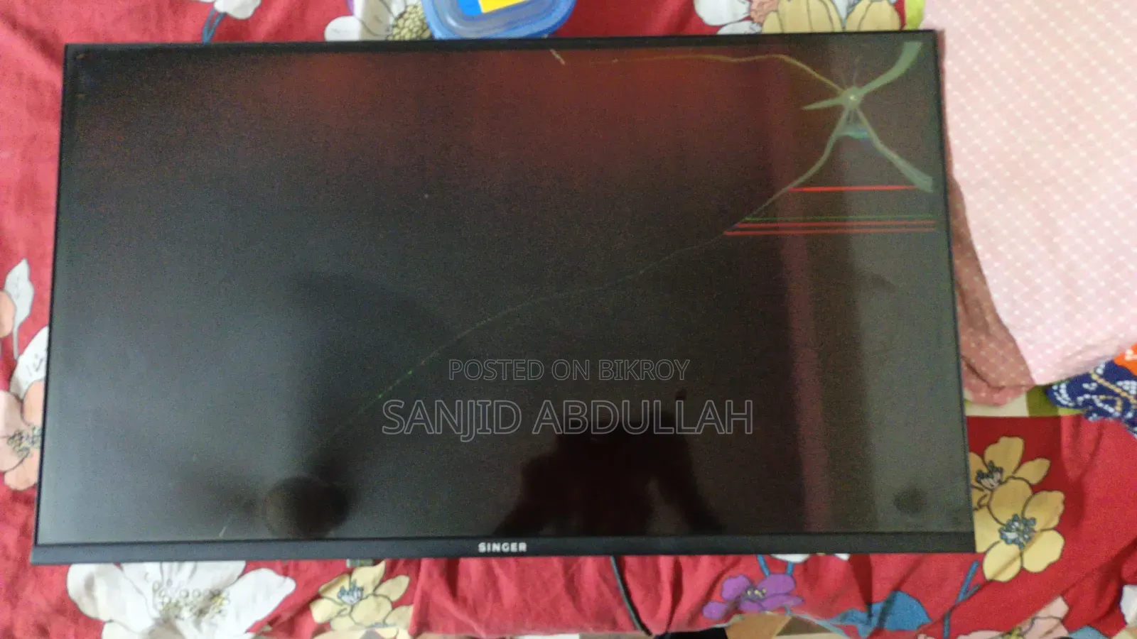 Singer 32" LED TV Display Gone