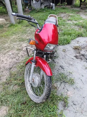 Hero Splendor Pro 2010 Red