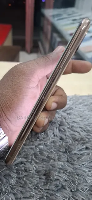 অ্যাপল আইফোন এক্সএস ম্যাক্স ২৫৬ জিবি গোল্ড
