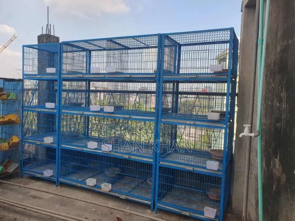 Cage 8 / 4