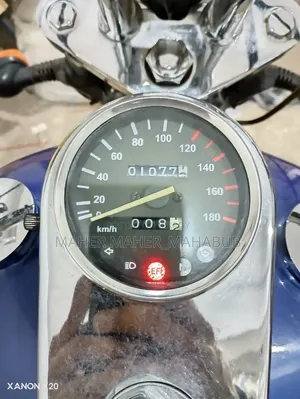 Regal Raptor DY250 2022 Blue