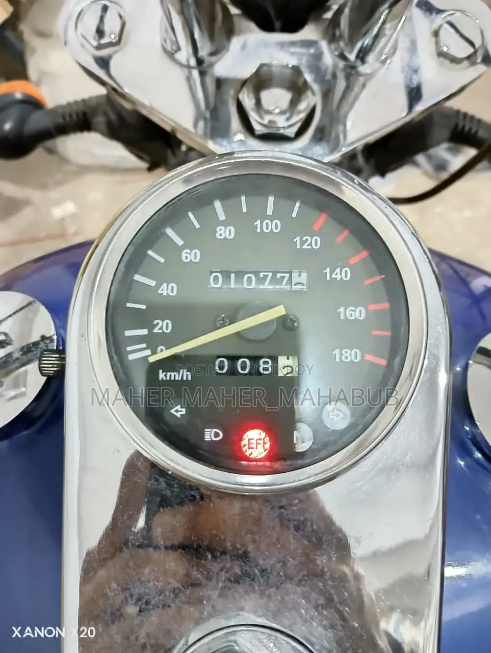 Regal Raptor DY250 2022 Blue
