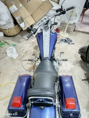 Regal Raptor DY250 2022 Blue