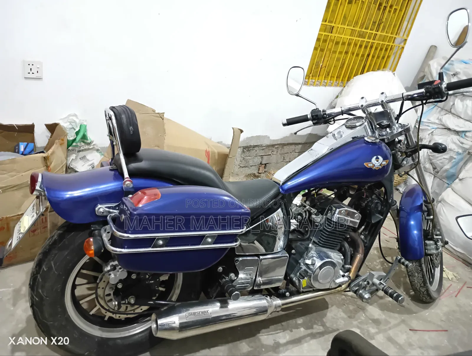 Regal Raptor DY250 2022 Blue