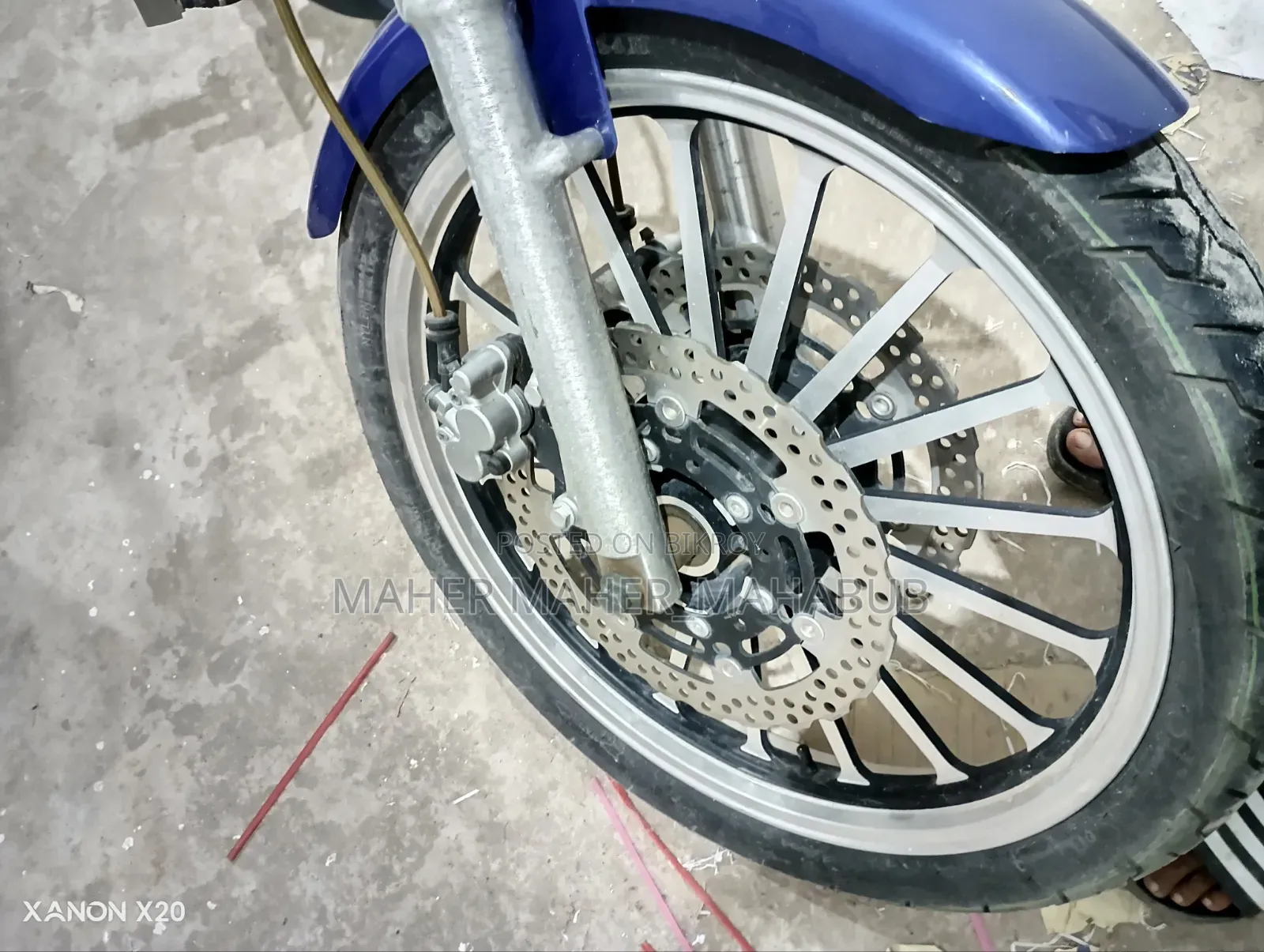 Regal Raptor DY250 2022 Blue
