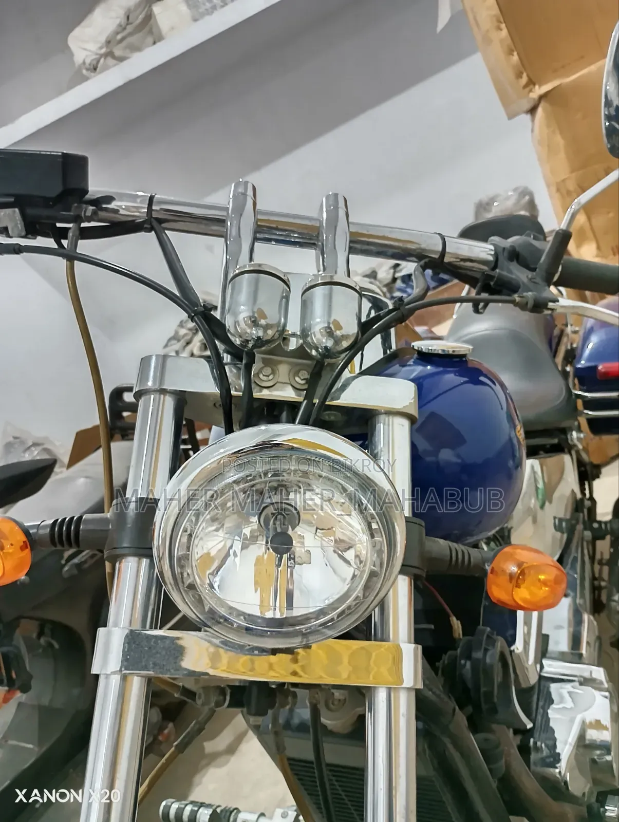 Regal Raptor DY250 2022 Blue