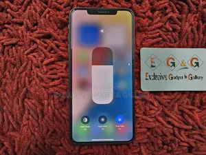অ্যাপল আইফোন এক্সএস ম্যাক্স ৫১২ জিবি গোল্ড