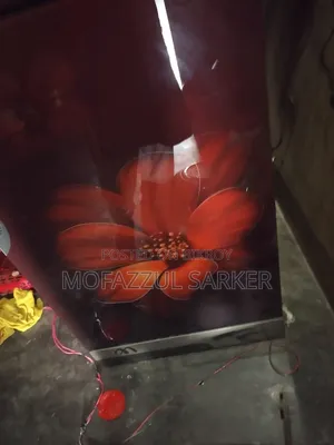 A Beautiful Refrigerator