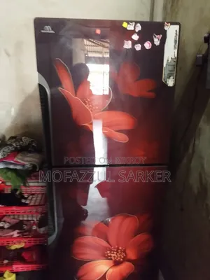 A Beautiful Refrigerator