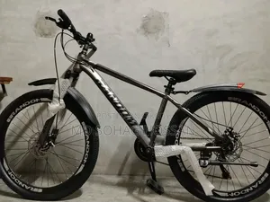 The bicycle