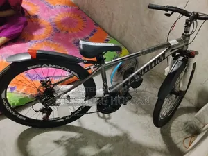 The bicycle