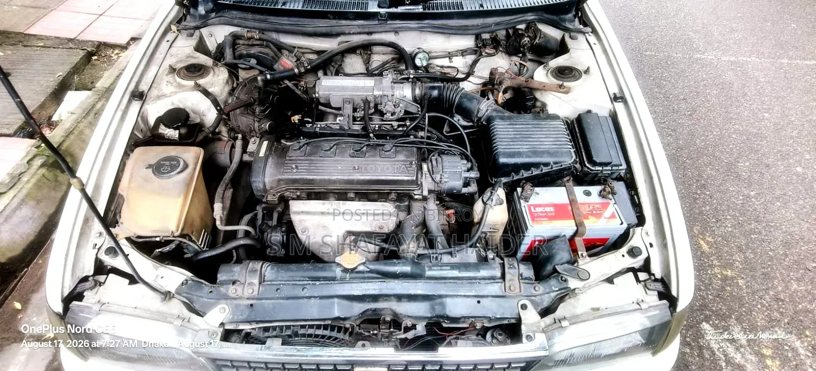 Toyota Corolla 1993 White