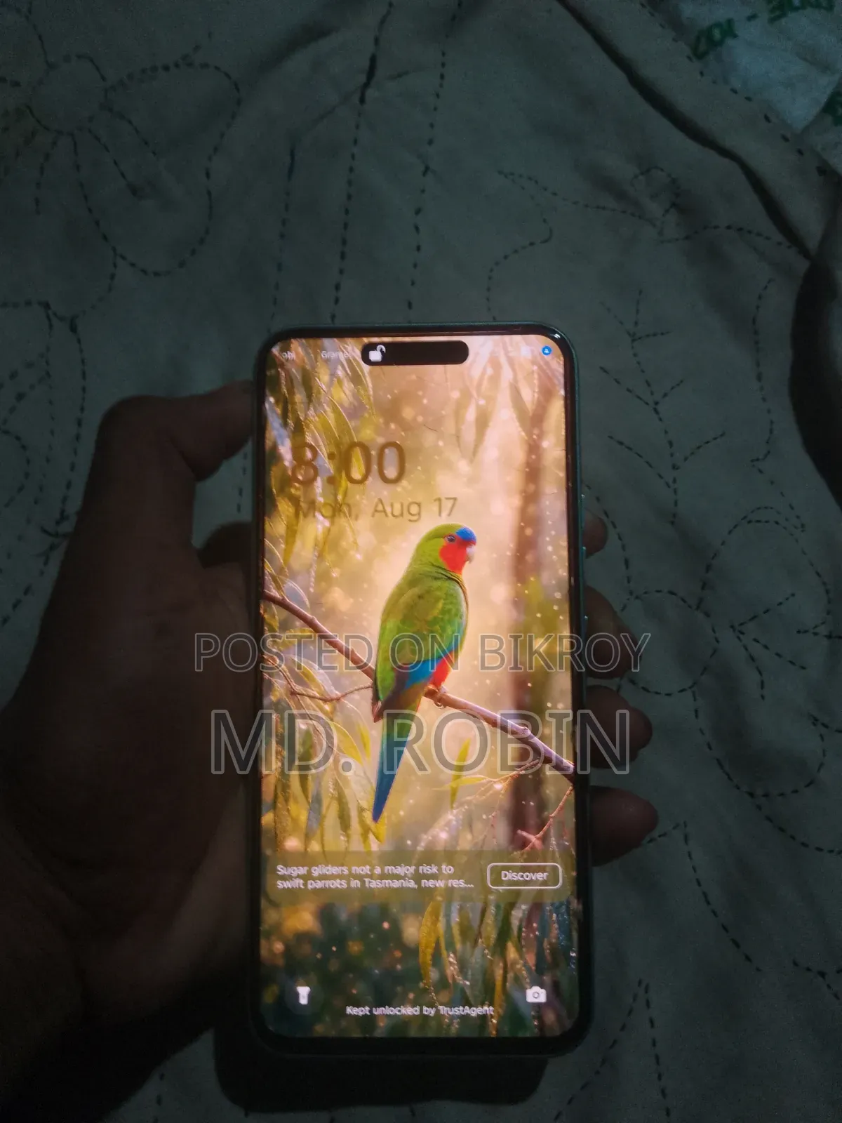Tecno Spark 40 Pro 128 GB Gray