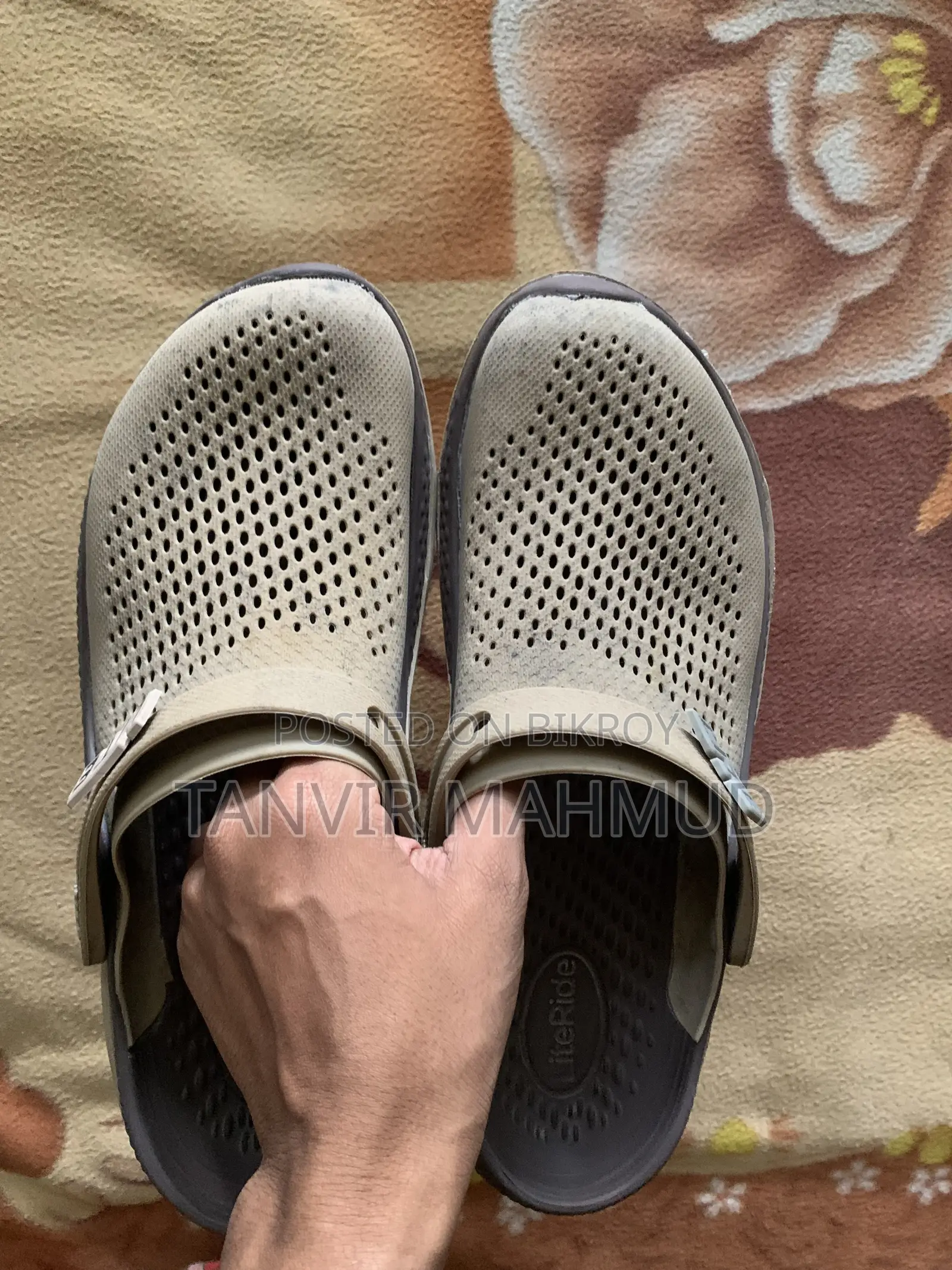 Thailand Crocs for Sale