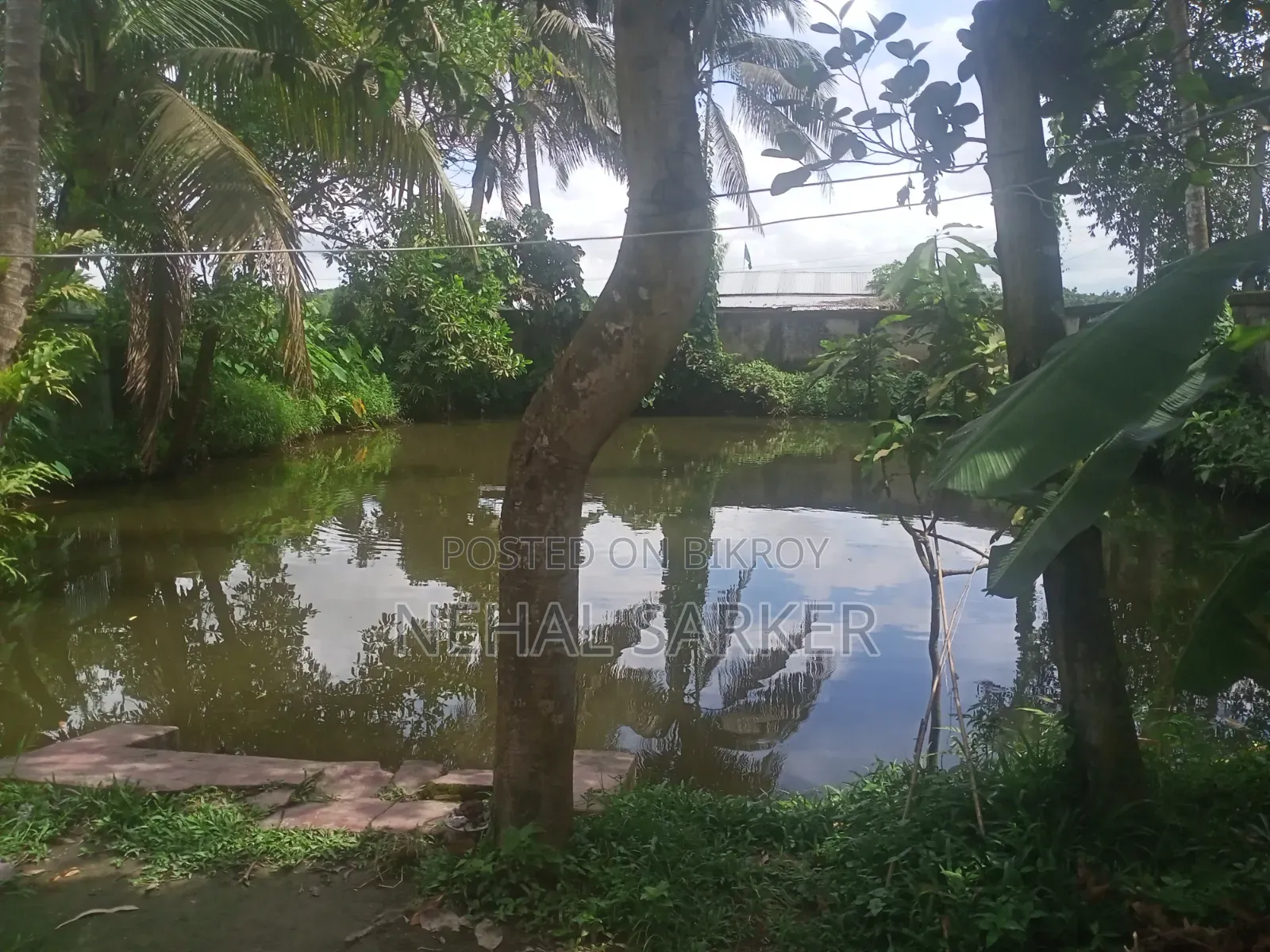 শায়েস্তাগঞ্জে ৪ বেডরুমের বাড়ি বিক্রয়ের জন্য