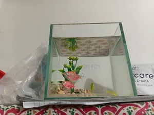 The fish will be sold.