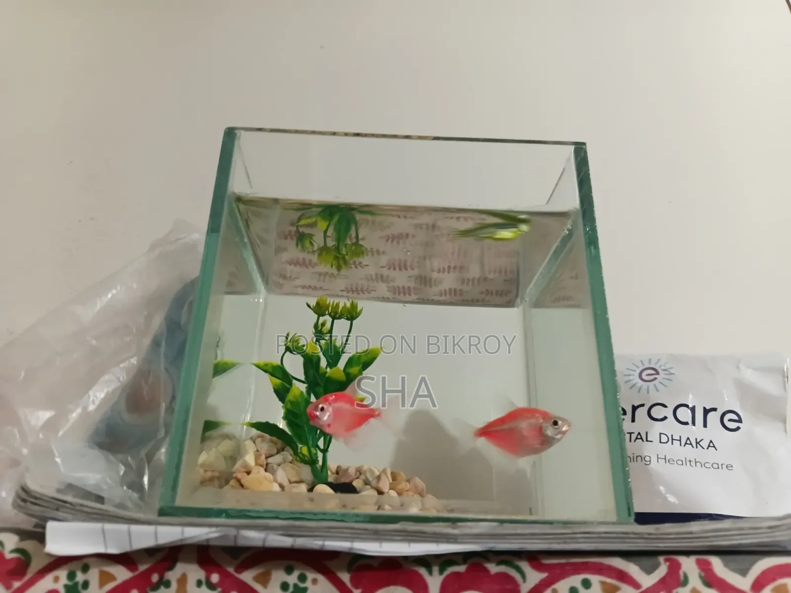 The fish will be sold.