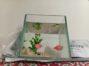 The fish will be sold.