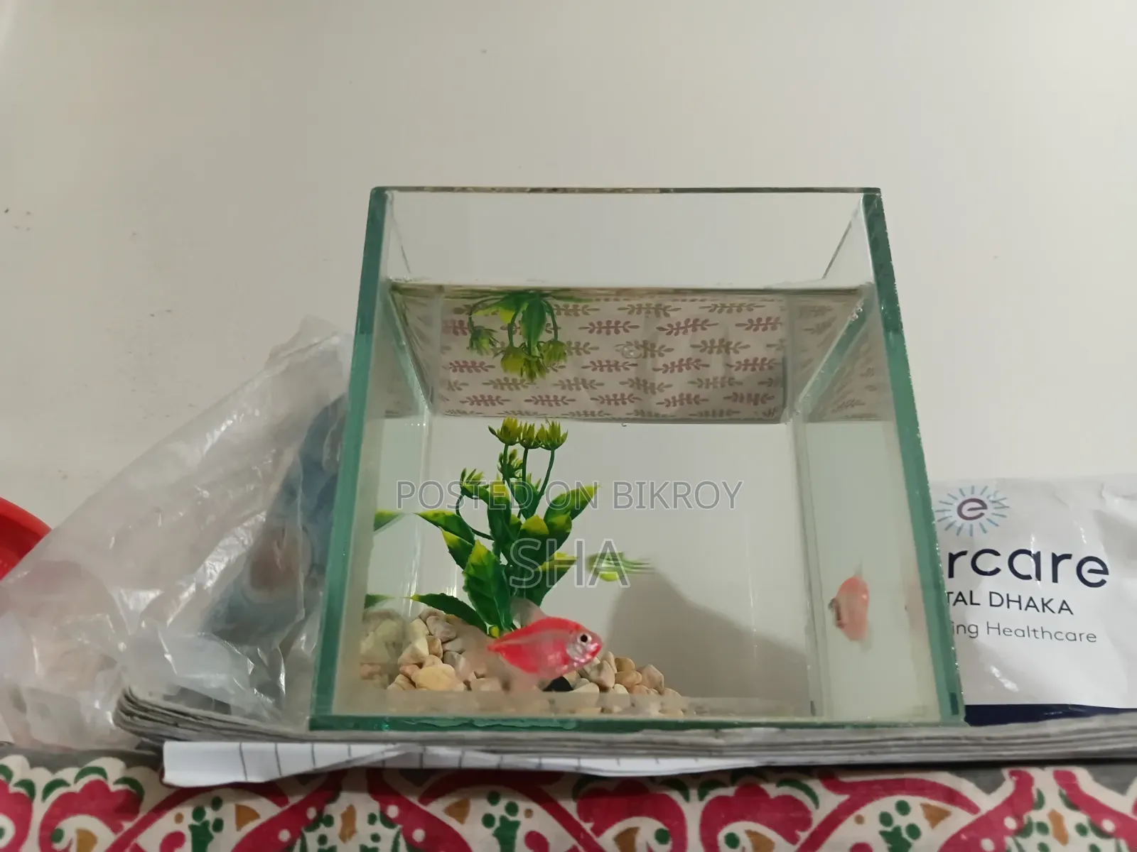 The fish will be sold.