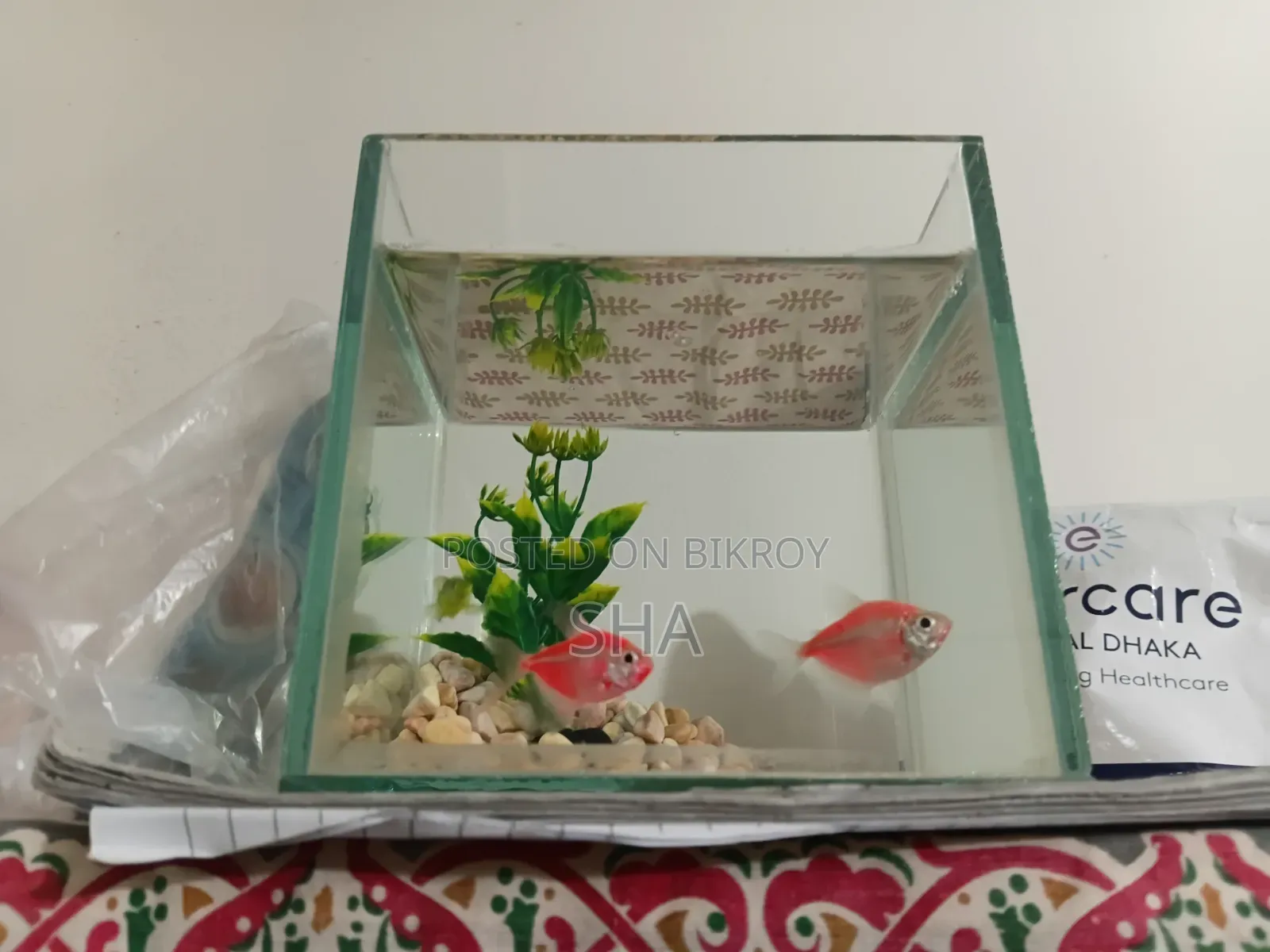 The fish will be sold.