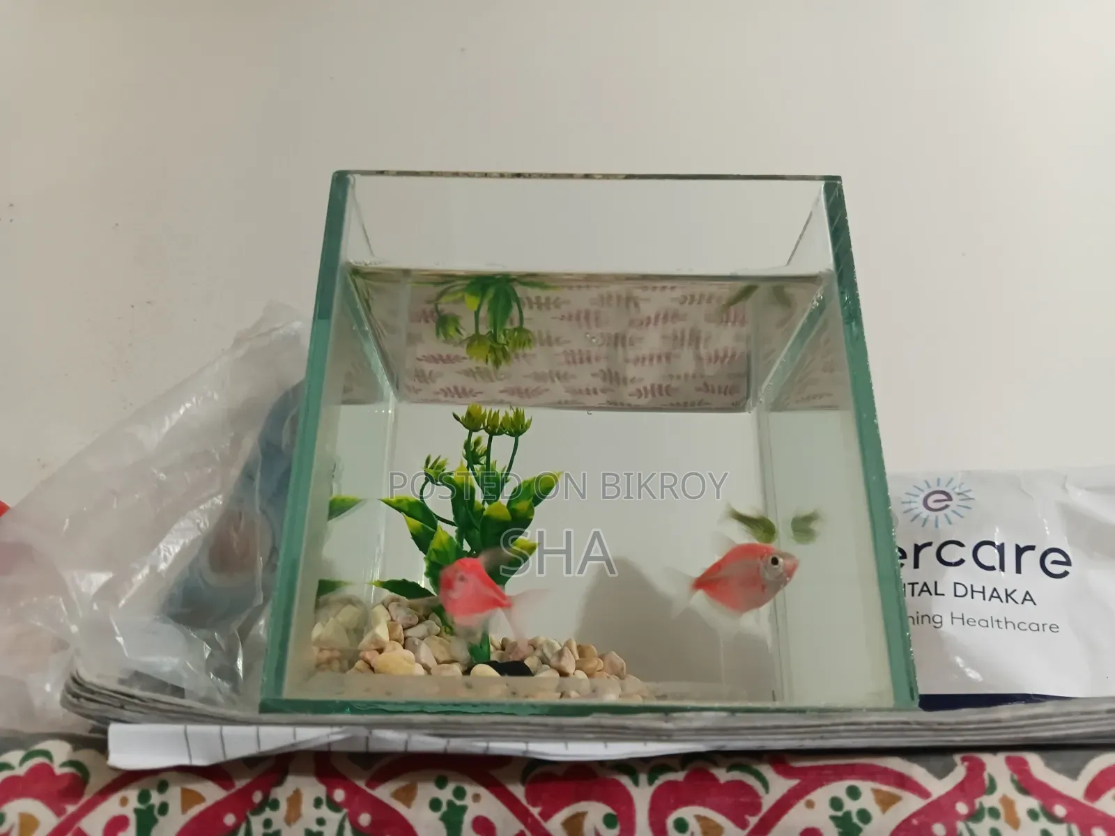 The fish will be sold.