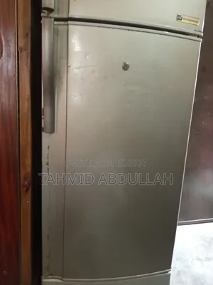 Old Fridge