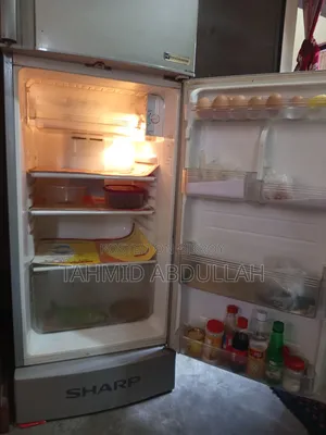 Old Fridge