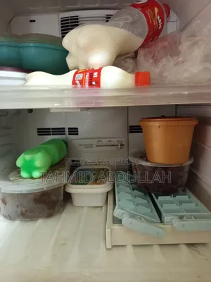 Old Fridge