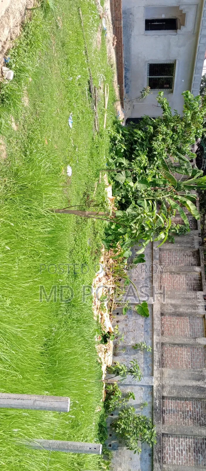 “ভেড়ামারা ফায়ার সার্ভিসের পেছনে ৩ কাঠা জমি বিক্রয়