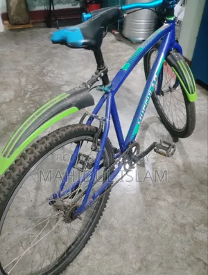 দুরন্ত মাসকোলার সাইকেল