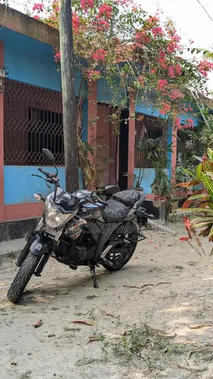 সুজুকি জিক্সার ২০১৭ গ্রে